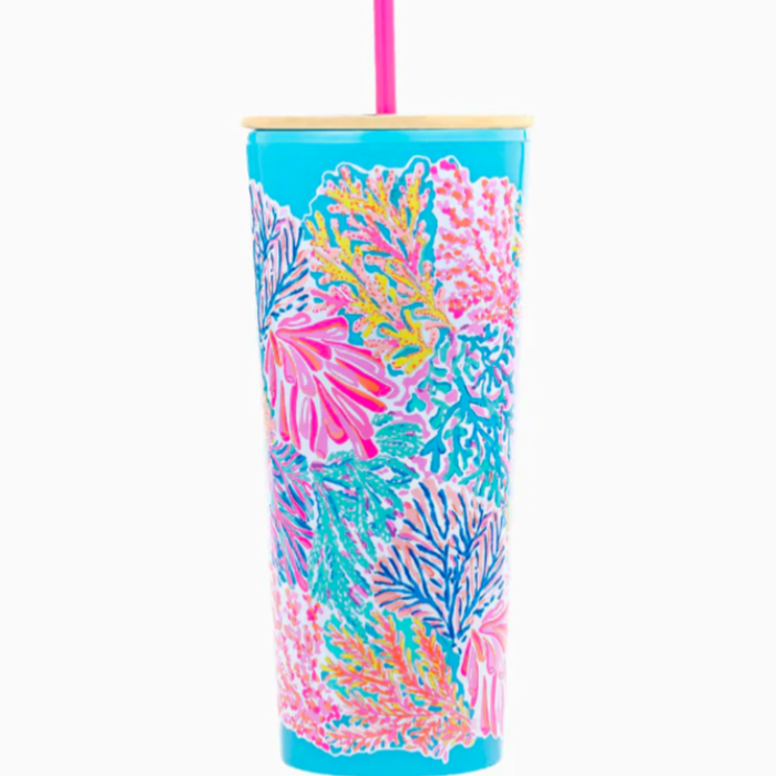 Tumblers With Straw-24oz