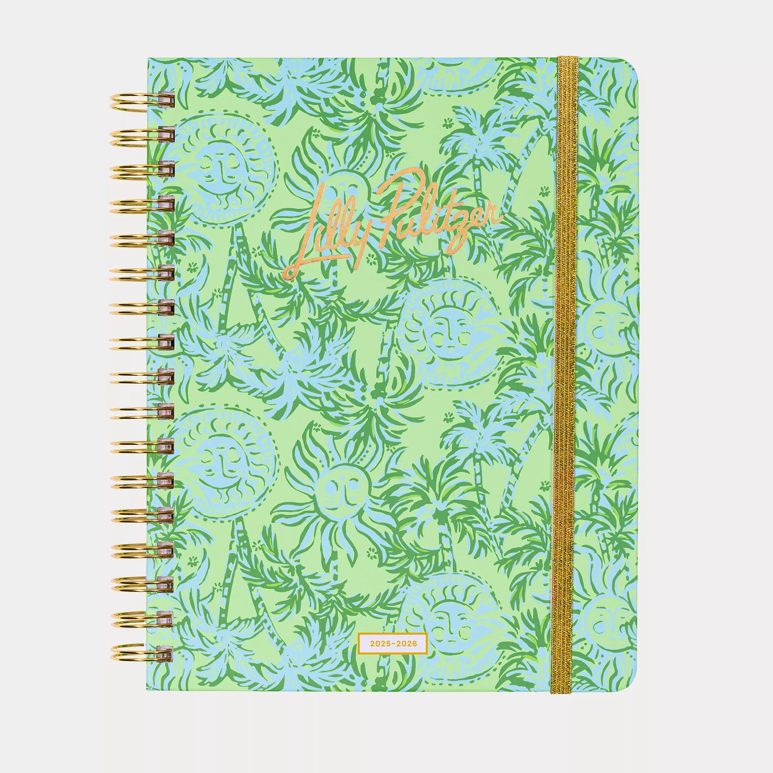 Large 17 Month Agenda, 8/2025-12/2026