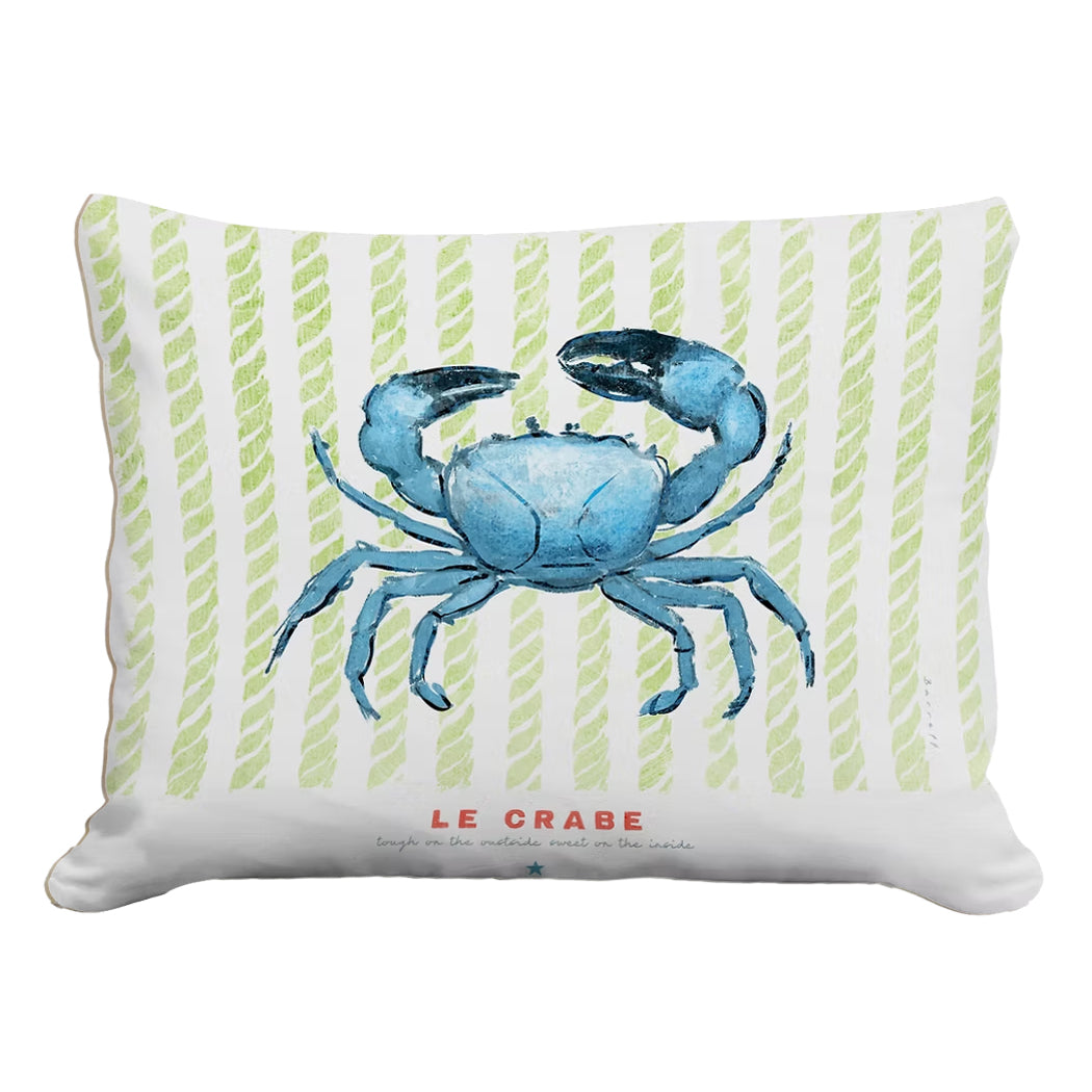 Indoor/Outdoor Pillow (19"x24")