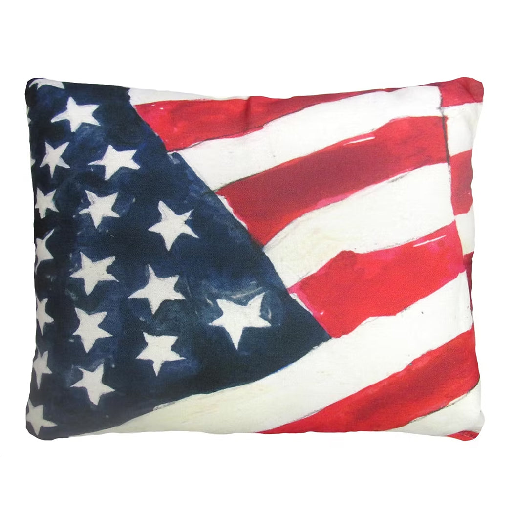 Indoor/Outdoor Pillow (19"x24")