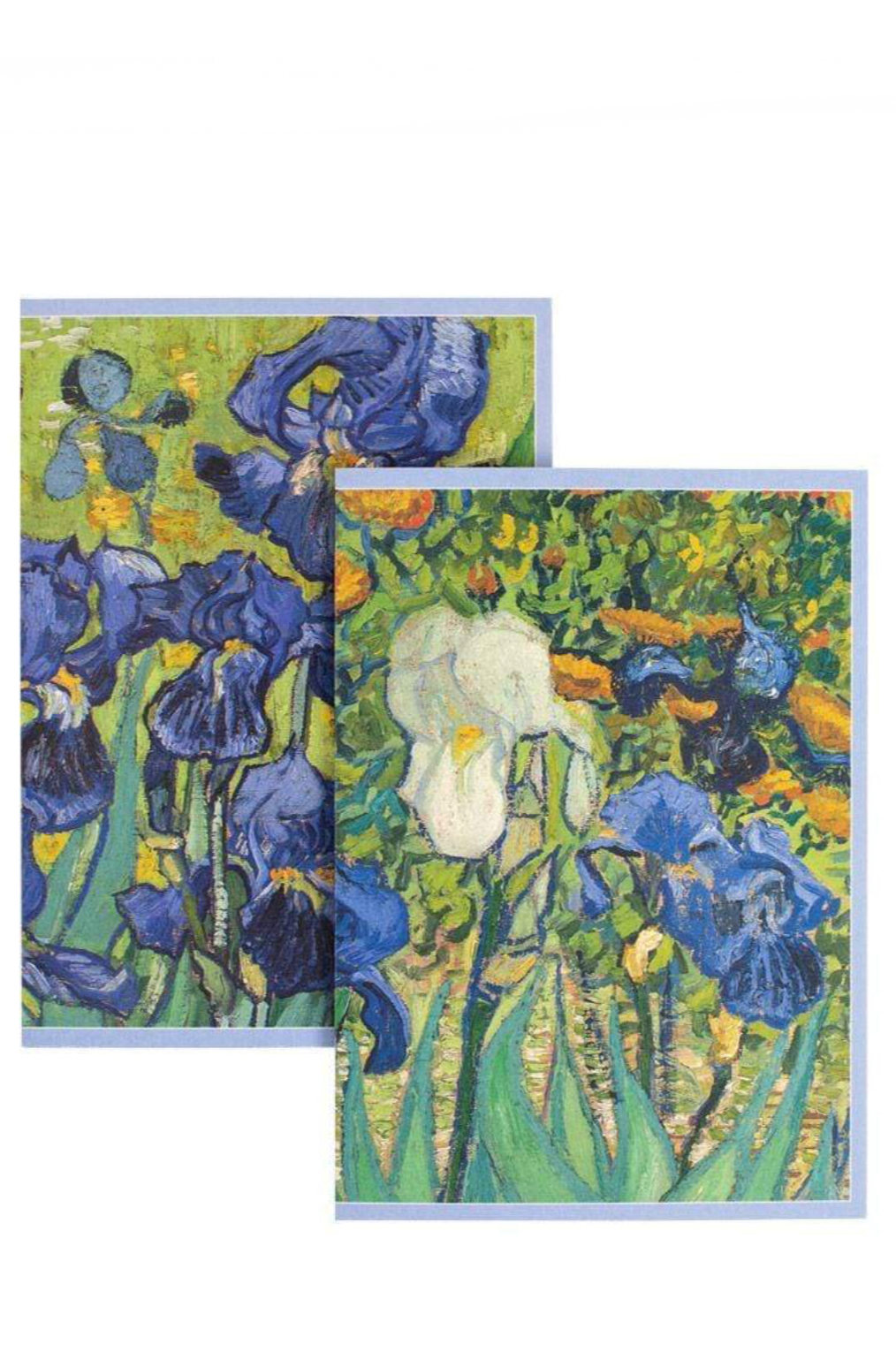 Assorted Boxed Notes (8)