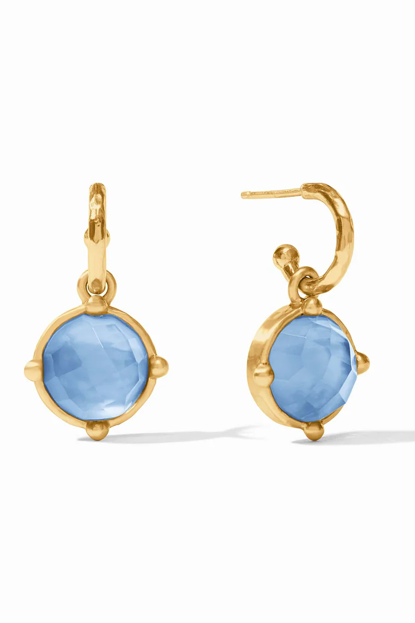 Honeybee Hoop and Charm Earrings - Pierced - Reversible