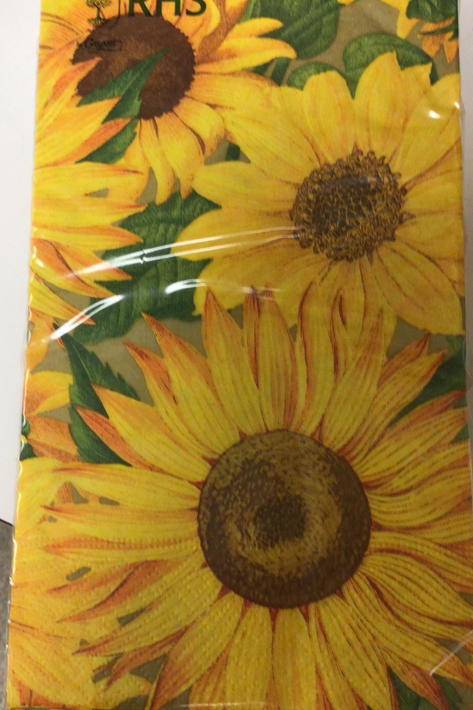 Pumpkin Field Guest Towels (15)