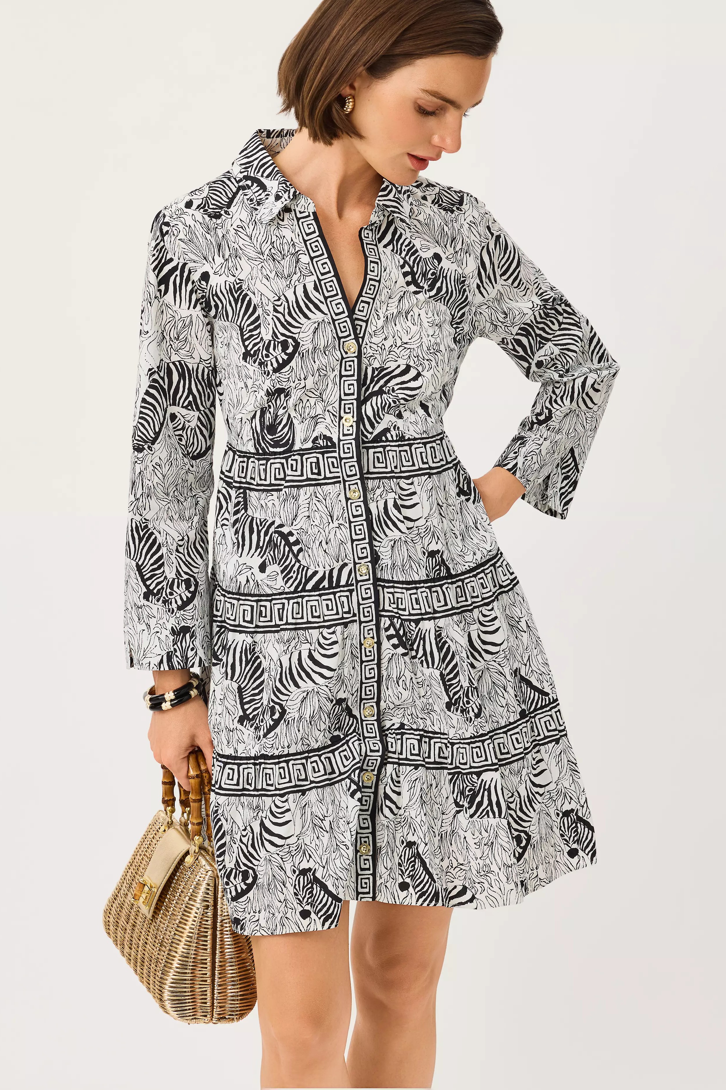 Angie Shirtdress